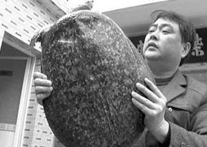 南京渔民捕获10公斤百岁甲鱼